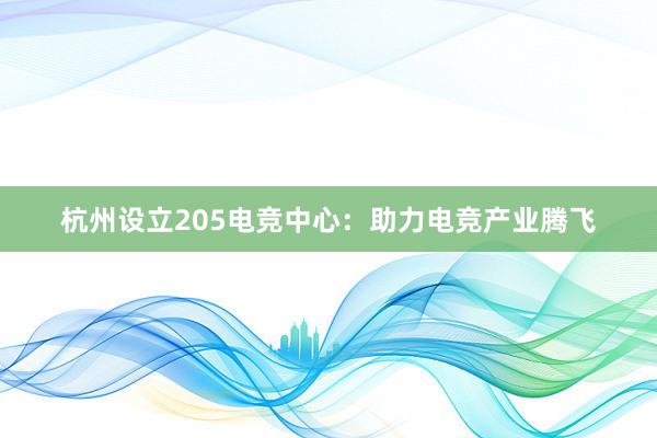 杭州设立205电竞中心：助力电竞产业腾飞